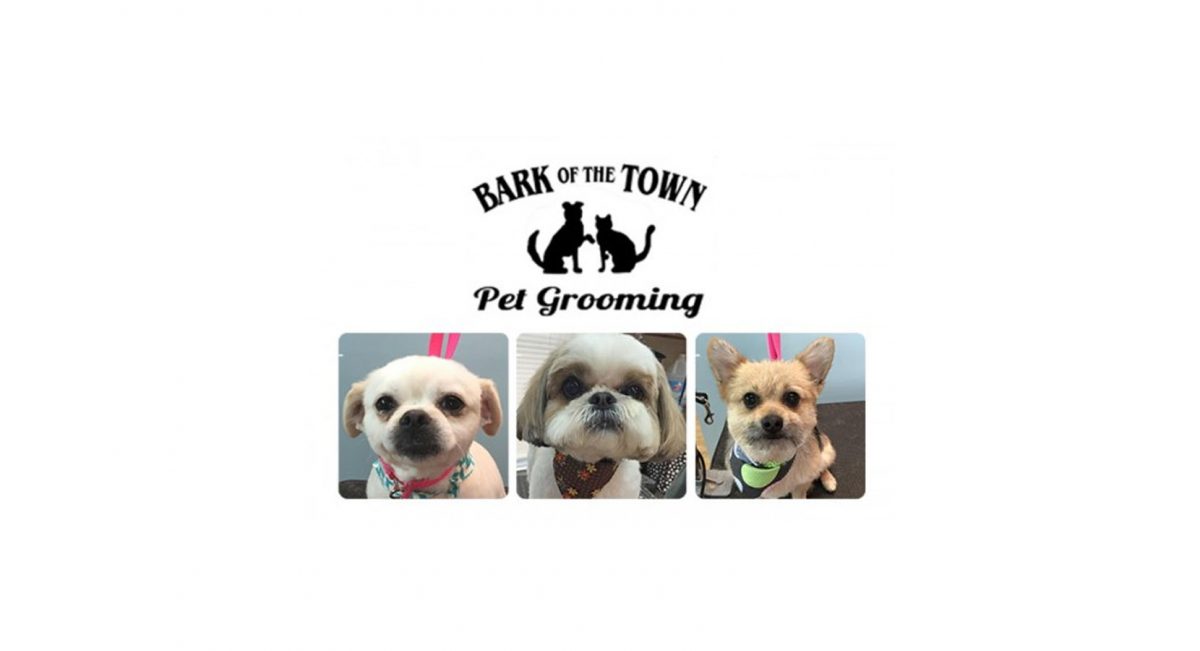 Pet Grooming Montgomery, NY : Bark of the Town